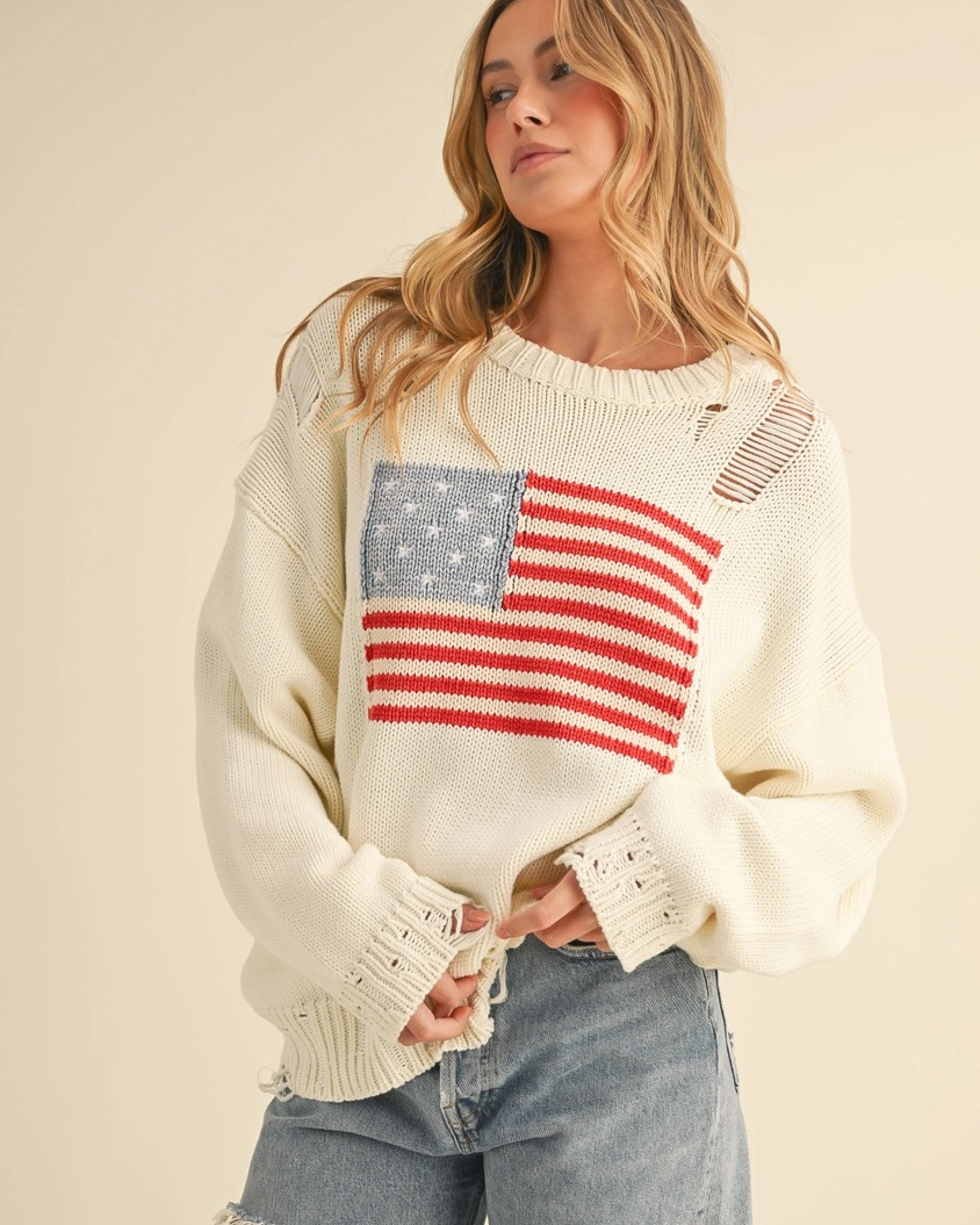 USA Sweater