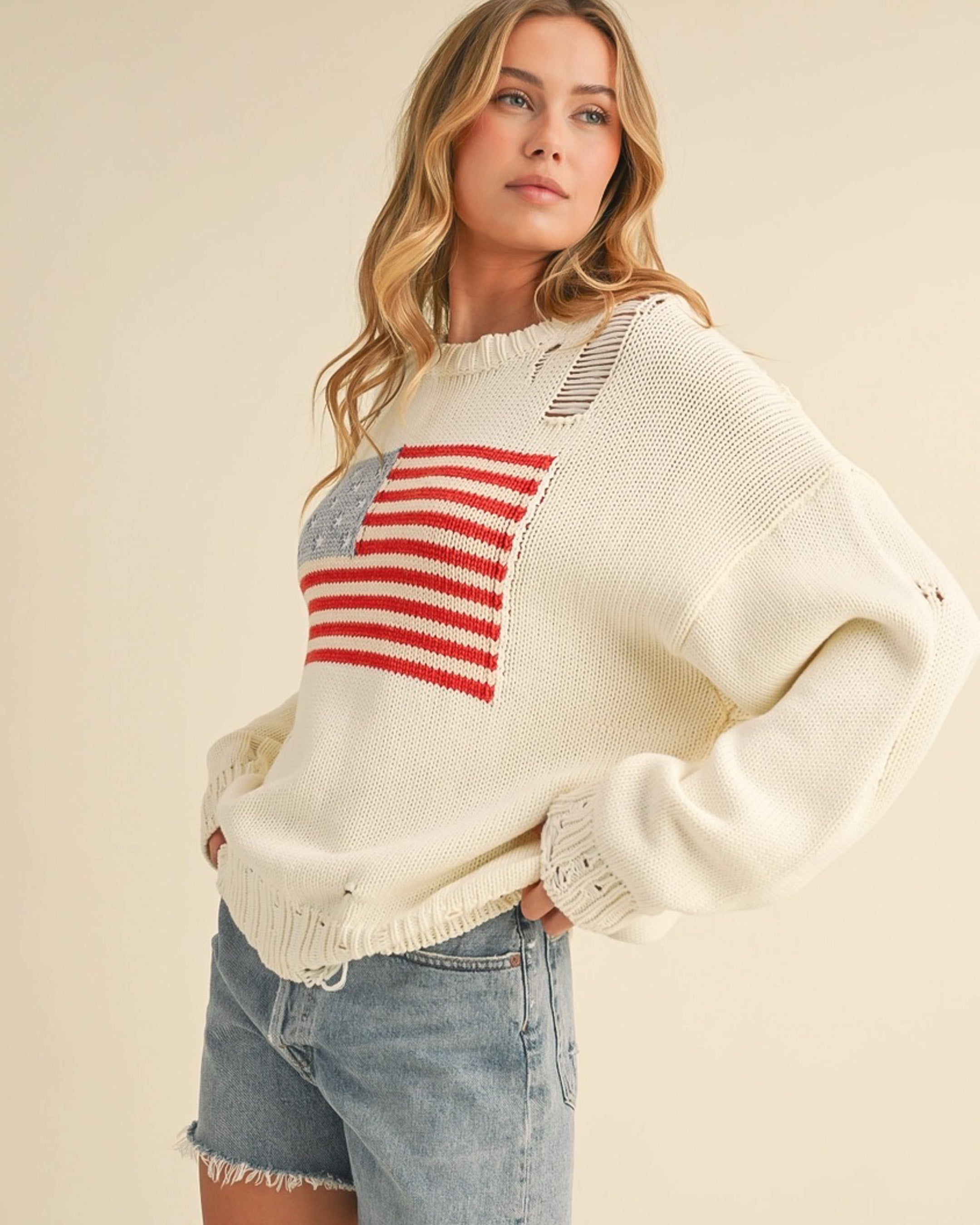 USA Sweater